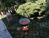 Eladó lakás Budapest XX. ker 30 000 000 Ft