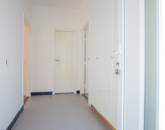 Kiadó lakás Budapest XI. ker 350 000 Ft