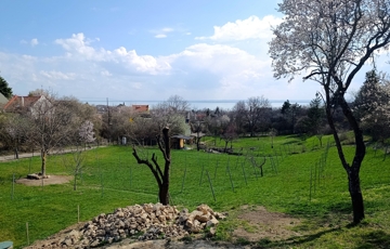 Eladó telek/földterület