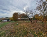 Eladó családi ház Nagynyárád 11 000 000 Ft