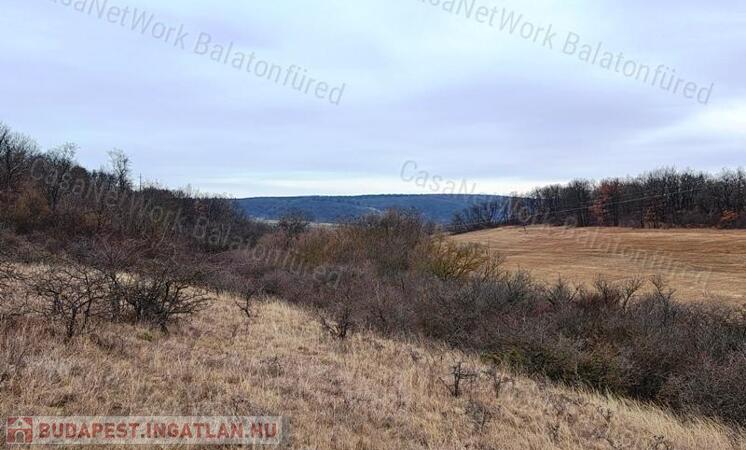 Közút melletti - eladó LEGELŐ BALATONALMÁDIBAN                                 