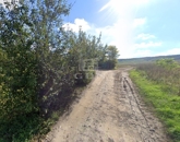 Eladó telek/földterület Domony 8 000 000 Ft