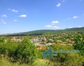 Eladó telek/földterület Telki 490 000 000 Ft