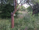 Eladó telek/földterület Jászberény 2 500 000 Ft