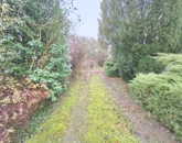 Eladó családi ház Gellénháza 45 990 000 Ft