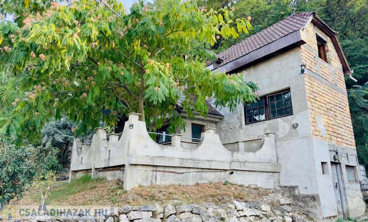 DUNAI PANORÁMÁS HÁZ DUNAALMÁSON ÓRIÁSI LEHETŐSÉGGEL                                 