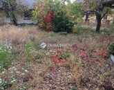 Eladó családi ház Pécs 39 000 000 Ft