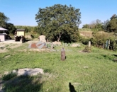 Eladó telek/földterület Mohács 2 900 000 Ft