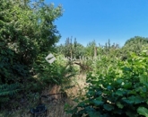 Eladó családi ház Jászkarajenő 22 000 000 Ft