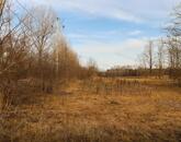 Eladó zöldterület, Tápiószentmárton