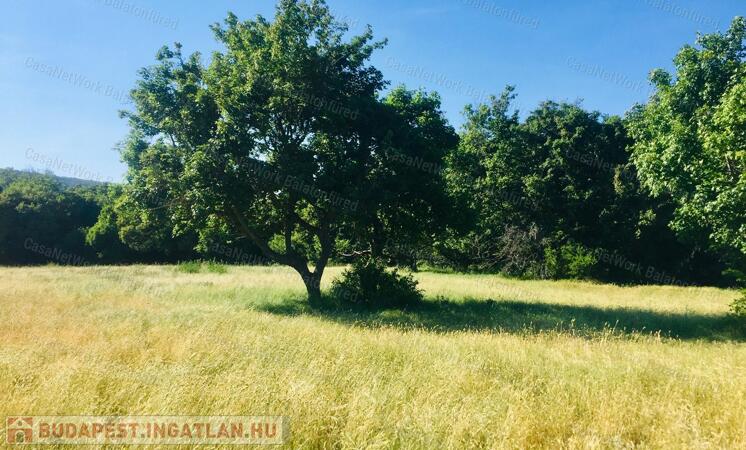 Tó közelsége, a medence klímája mindig is jó lehetőség                                 