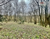 Eladó telek/földterület Budapest II. ker 480 000 000 Ft