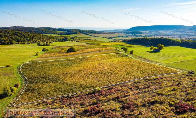 Eladó örök panorámás terület Óbudaváron! 2,3ha!                                 