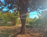 Eladó családi ház Cserkút 64 900 000 Ft