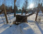 Eladó családi ház Solymár 85 000 000 Ft