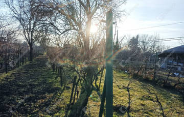 Eladó üdülő/nyaraló