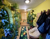 Eladó családi ház Ráckeve 74 900 000 Ft