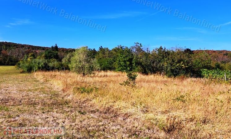 Település közeli - eladó MEZŐGAZDASÁGI TERÜLET BALATONUDVARIBAN