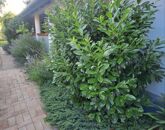 Eladó családi ház Gödöllő 118 000 000 Ft