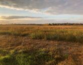 Eladó telek/földterület Nagytarcsa 46 800 000 Ft