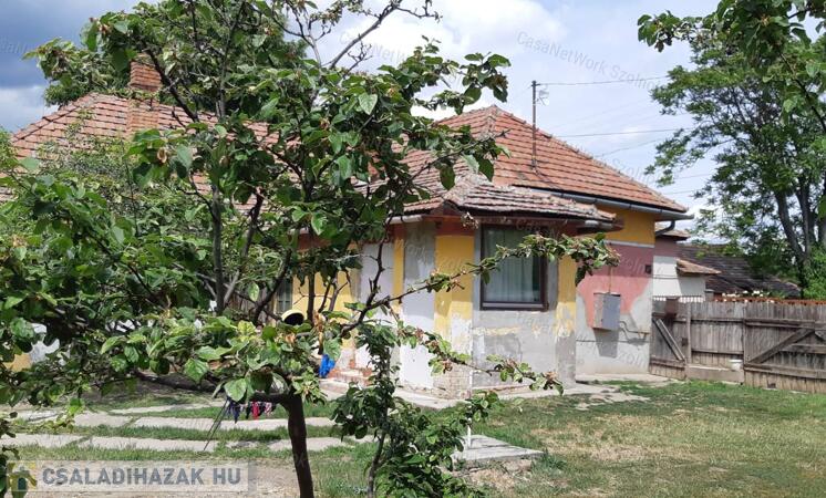 Tiszaföldváron eladó kertes családi ház!                                 