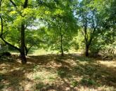 Építési telek eladó Gyarmatpusztán – ahol a természet, a múlt és a jövő találkozik