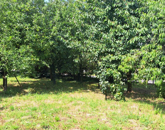 Eladó családi ház Alsóújlak 21 900 000 Ft