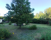 Eladó telek/földterület Dunaharaszti 49 990 000 Ft