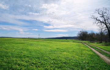 Eladó telek/földterület