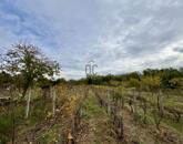 Eladó üdülő/nyaraló Belezna 3 500 000 Ft