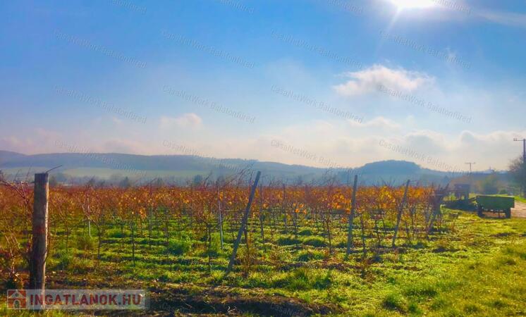 Táj-Panorámás beépíthető szőlős telek ELADÓ