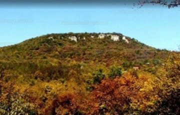 Eladó telek/földterület