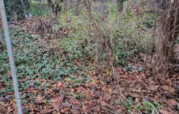 Eladó telek/földterület