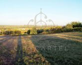 Eladó telek/földterület Dunaföldvár 4 400 000 Ft