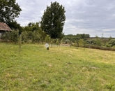 Eladó családi ház Batyk 55 000 000 Ft