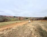 Eladó telek/földterület Dunaszentmiklós 31 750 000 Ft