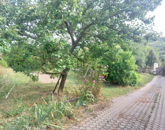 Eladó telek/földterület Szekszárd 19 900 000 Ft