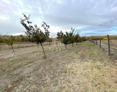 Eladó telek/földterület Péteri 11 000 000 Ft