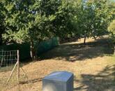 Eladó telek/földterület Tata 5 500 000 Ft