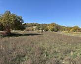 Eladó üdülő/nyaraló Csákvár 22 900 000 Ft