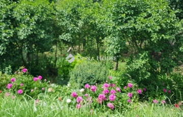 Eladó telek/földterület