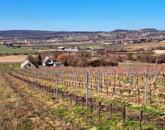 Kiváló környezetben -eladó GAZDASÁGI ÉPÜLET BALATONCSICSÓN