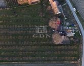 Eladó családi ház Dunafalva 10 000 000 Ft