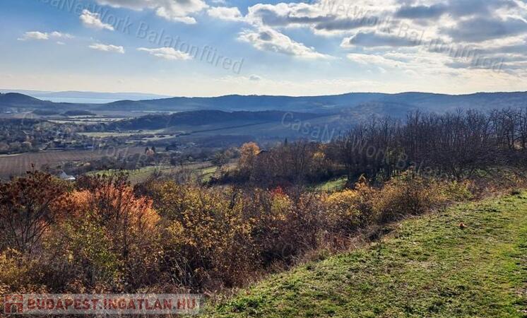 Örökpanoráma, építhető -eladó MEZŐGAZDASÁGI TERÜLET PÉCSELYEN                                 