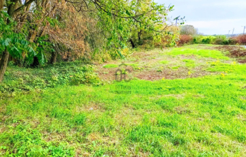 Eladó telek/földterület