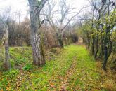 Eladó telek/földterület Verőce 18 990 000 Ft