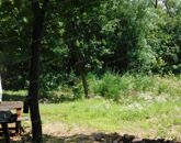 Eladó telek/földterület Révfülöp 25 000 000 Ft