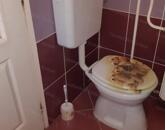 Tiszaföldváron eladó jó állapotú kertes családi ház!