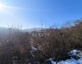 Eladó üdülő/nyaraló Dunabogdány 29 900 000 Ft