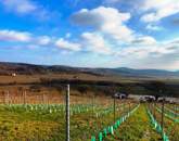 Tökéletes panorámás bővíthető nyaraló Balatonszőlősön